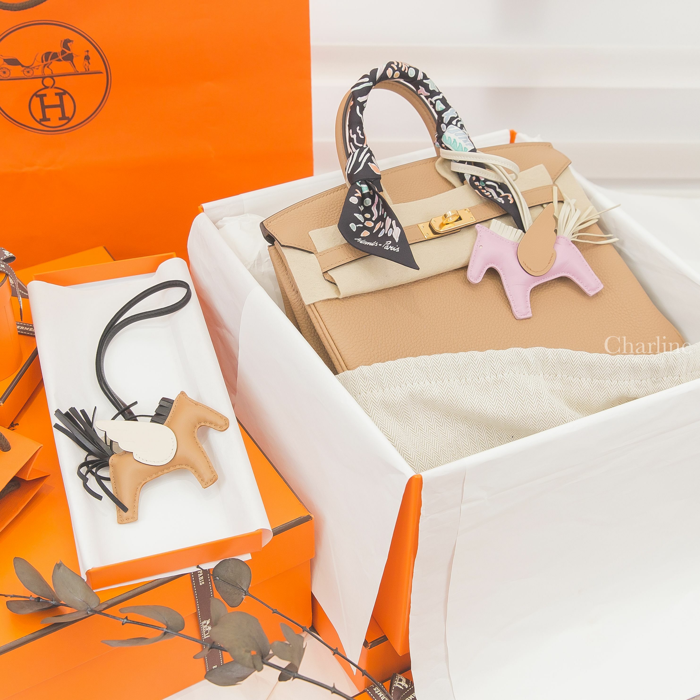 Hermès 黑色/綠色/玫瑰粉春天島嶼絲巾,Hermès Birkin 25cm 0M Togo U刻馬薩拉茶色金釦鉑金包,馬薩拉茶色/奶油白/黑色小型飛馬吊飾,錦葵粉/奶昔白/馬薩拉茶色小型飛馬吊飾-Charline Boutique 精品代購