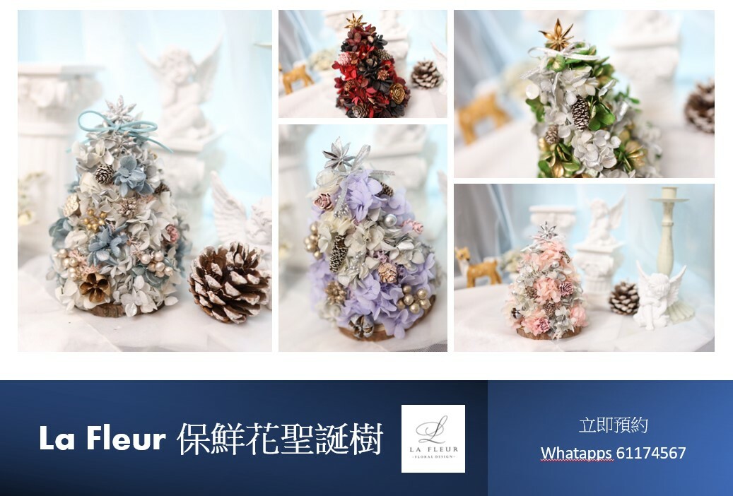 💢課程-期間限定🎄日本保鮮花聖誕樹🌈 (PM/Whatapps 61174567預約)