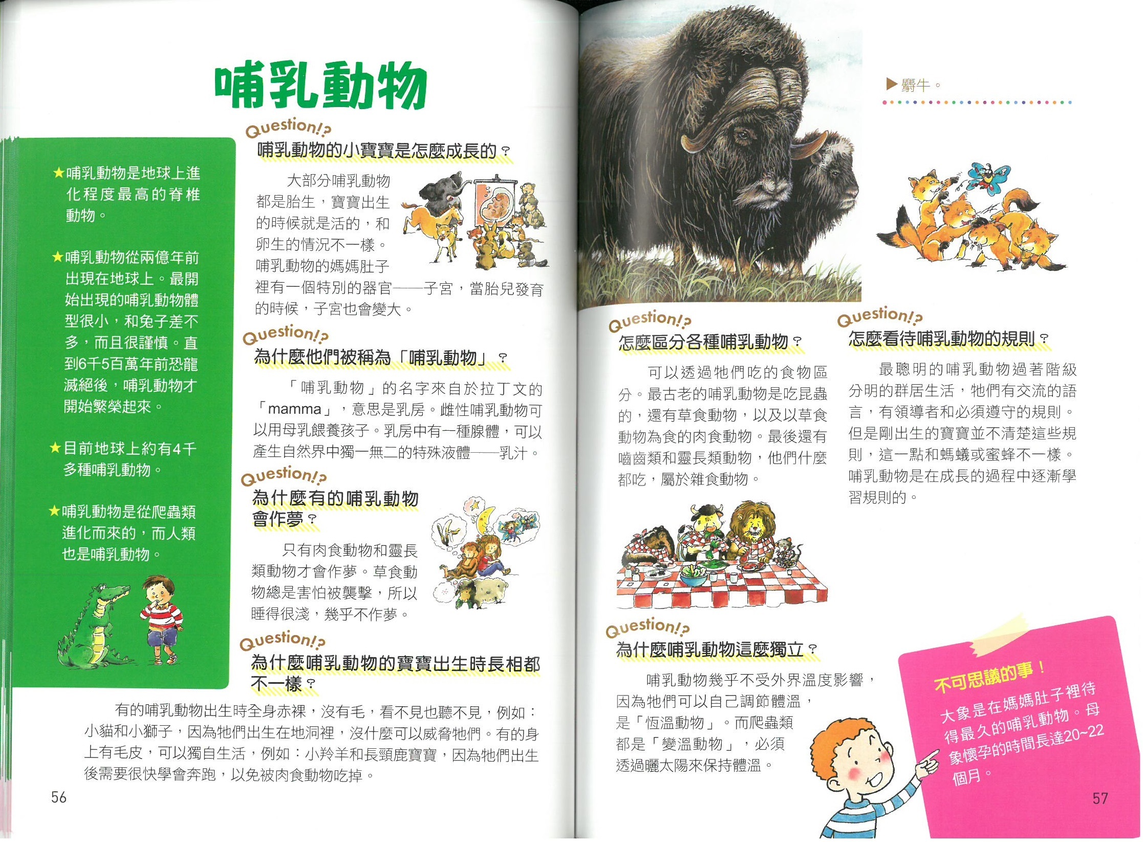 世界真有趣！探索奇妙的動物