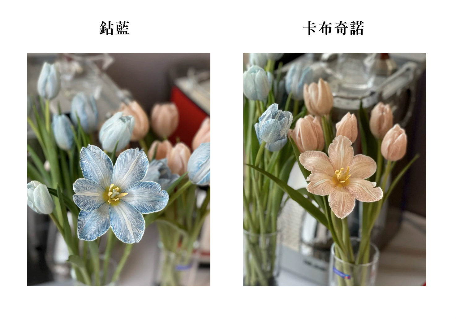 鬱金香花束-韓式鬱金香花束