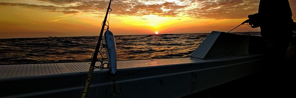 MC WORKS' Slow Hand “ALL THAT TUNA” SH777TSZ Casting Ro