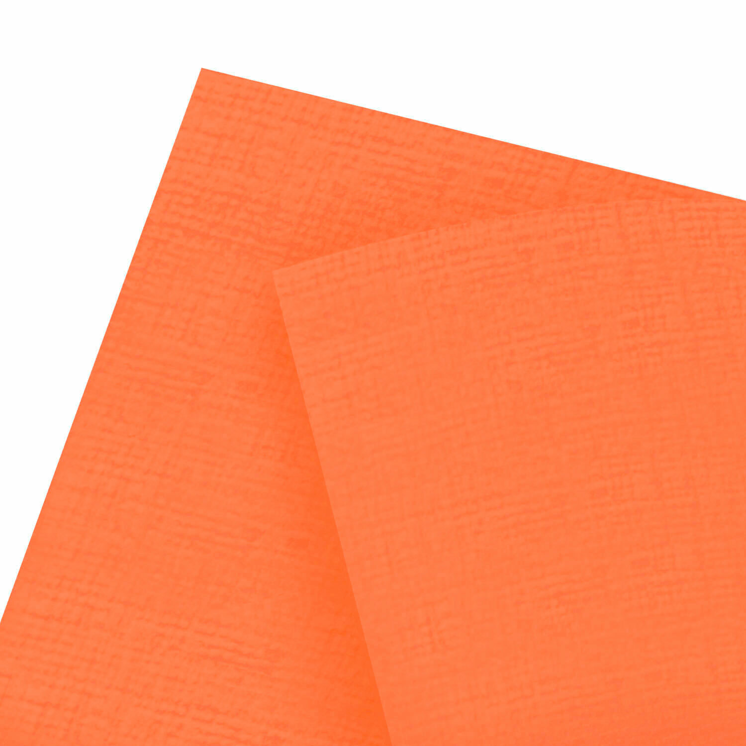 【日本進口】艾大禾 | 太陽橘 (A4規格-6入) #T9002