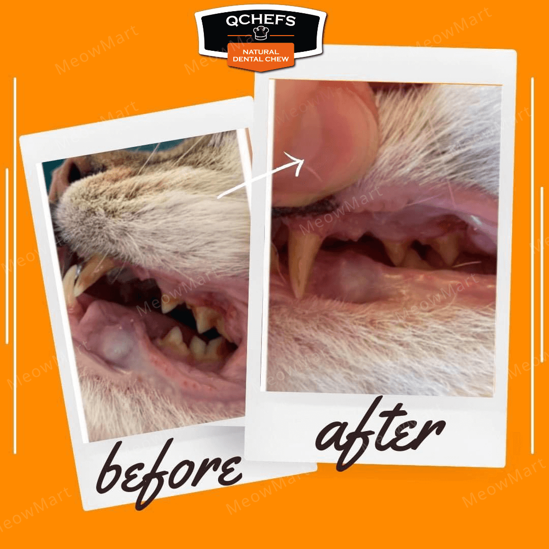 QCHEFS 貓貓專用芝士潔齒粉 80g