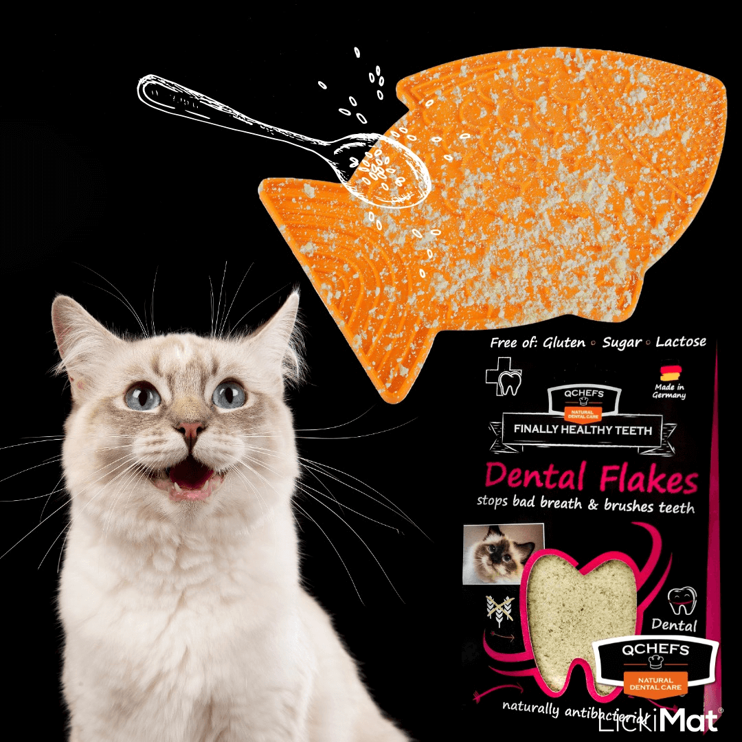 QCHEFS 貓貓專用芝士潔齒粉 80g