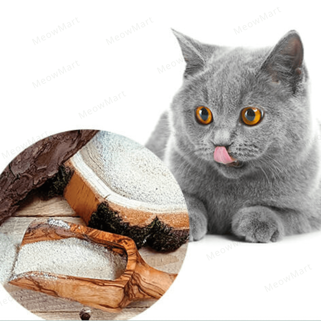 QCHEFS 貓貓專用芝士潔齒粉 80g