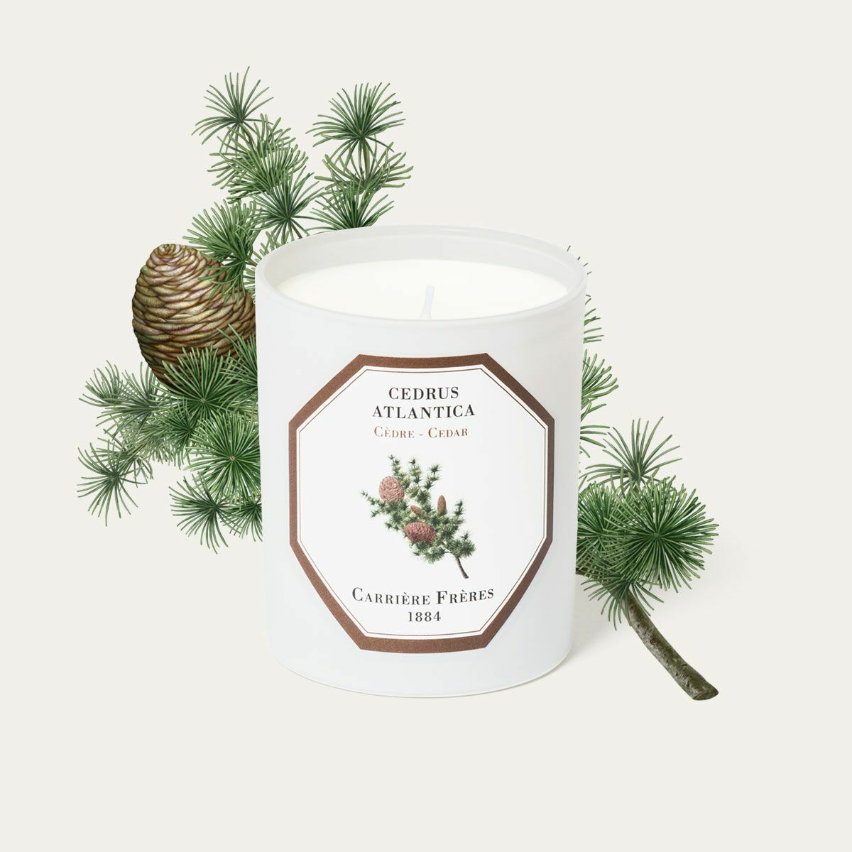 CEDAR 雪松 香氛蠟燭 - Carrière Frères