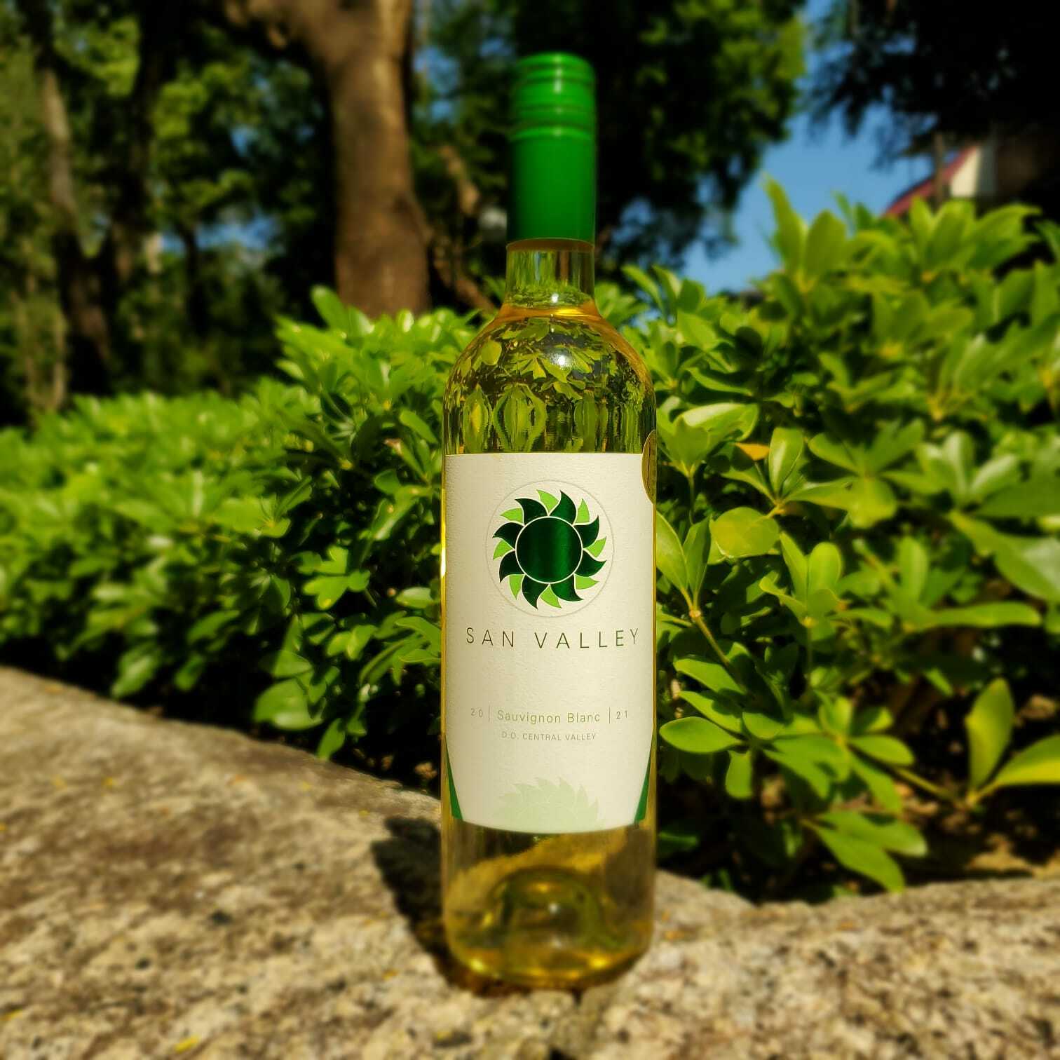 【智利白酒】San Valley Sauvignon Blanc 2021 750ml