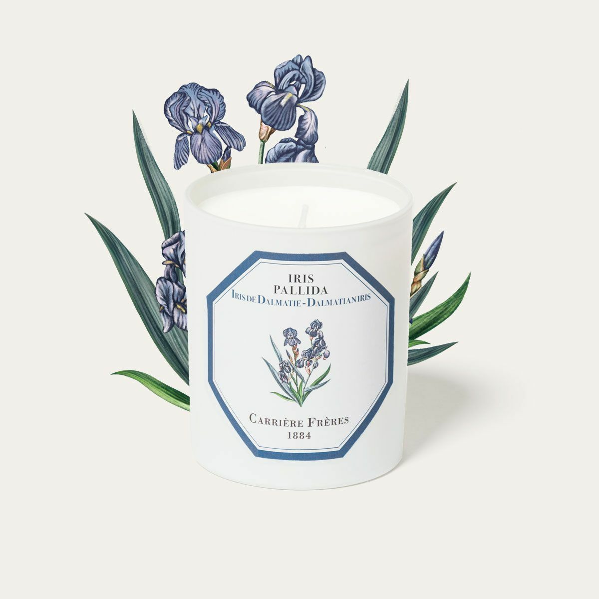 DALMATIANIRIS 鳶尾花 香氛蠟燭 - Carrière Frères