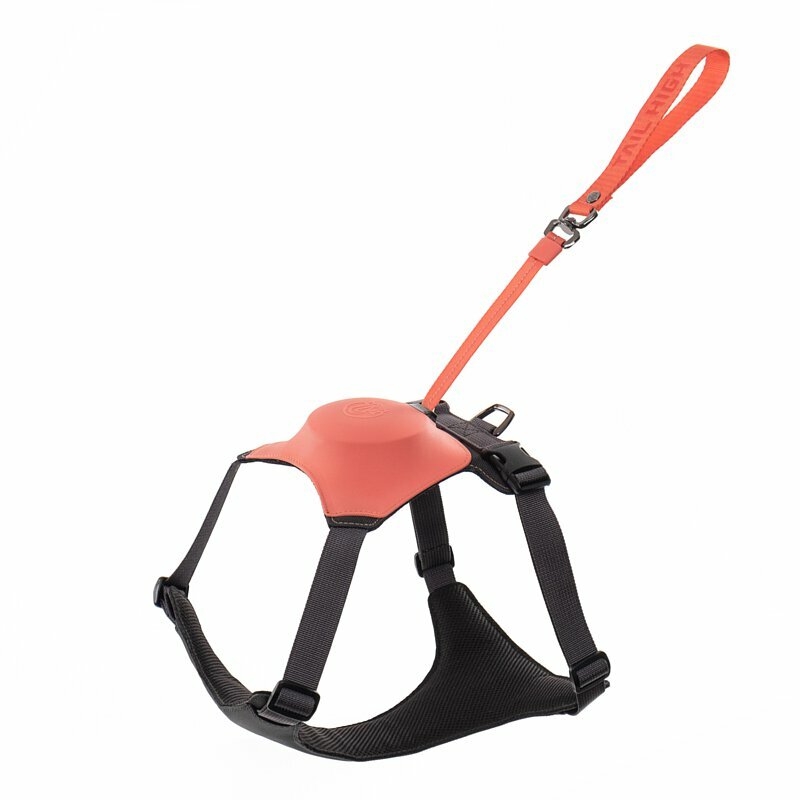 【Tailhigh】二合一胸背帶(落日粉)