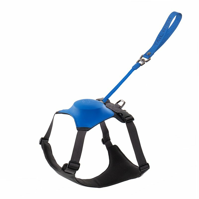 【Tailhigh】二合一胸背帶(喜馬拉雅藍)