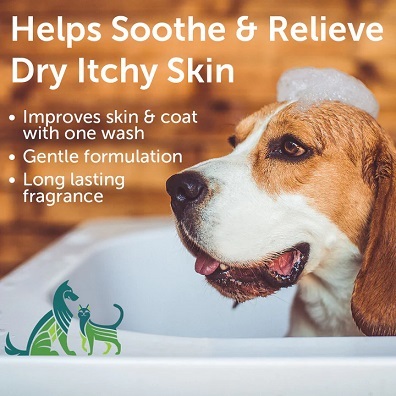 美國Nootie  燕麥蘆薈 舒緩洗毛水 - 青瓜香味 16oz