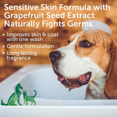 美國Nootie  葡萄籽精華 低敏洗毛水 -  椰子清香 16oz