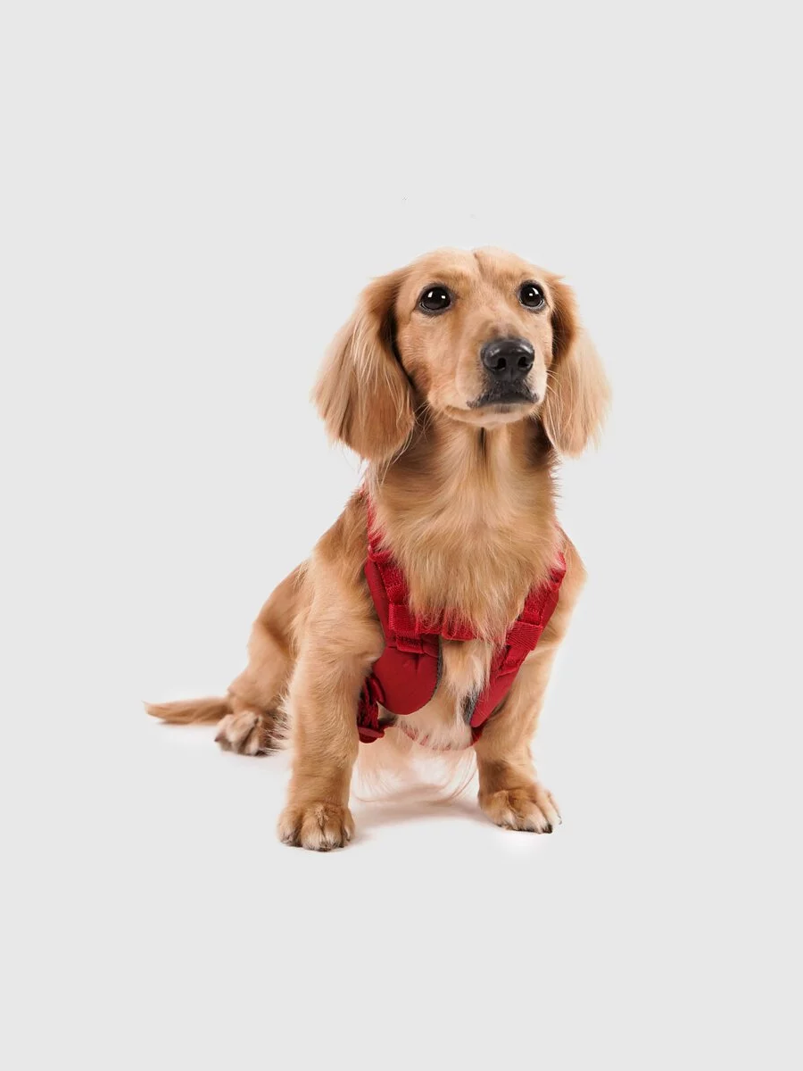 【SPUTNIK】EXPLORE 寵物胸背帶｜紅