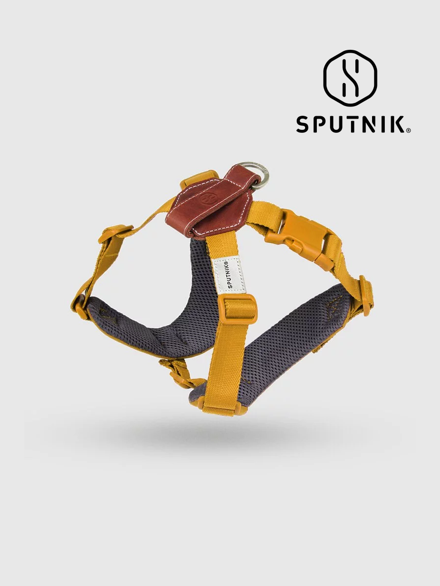 【SPUTNIK】EXPLORE 寵物胸背帶｜黃