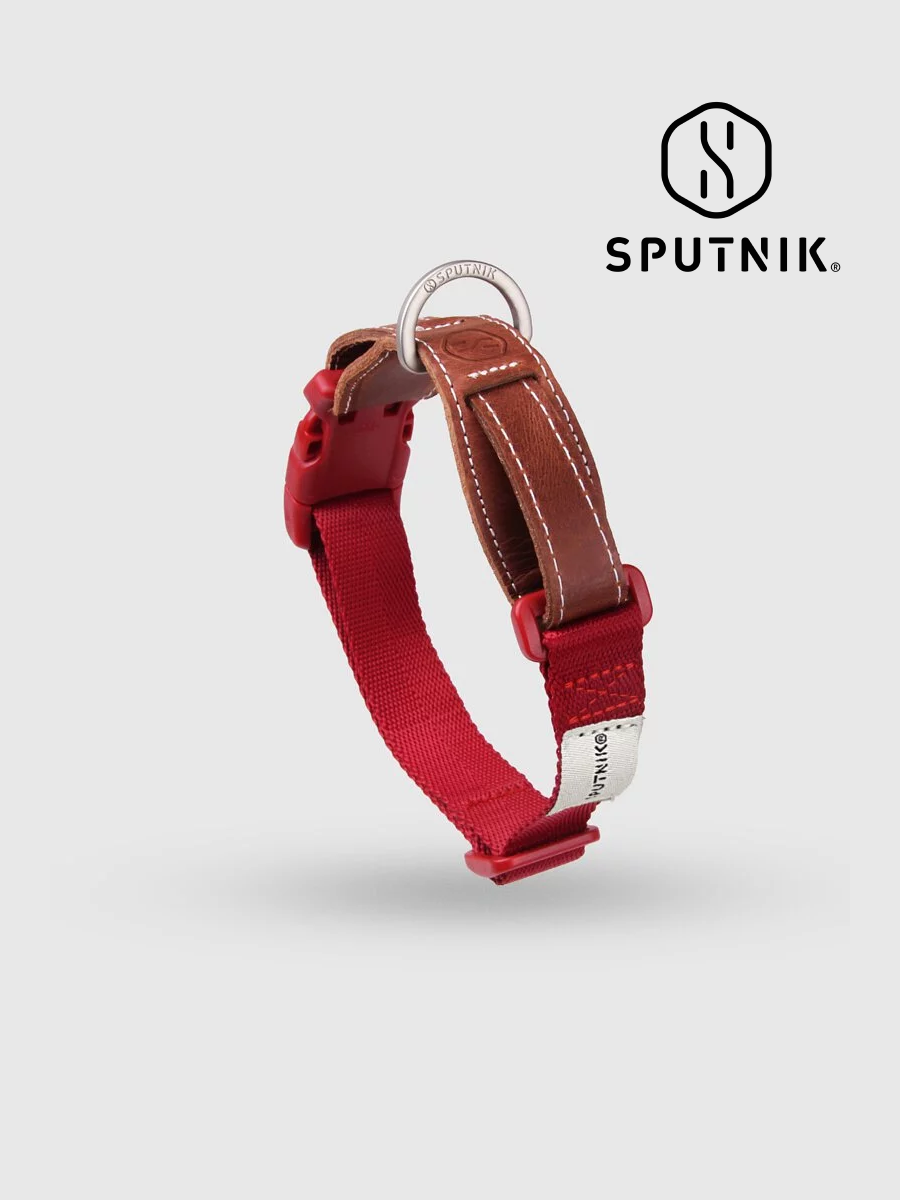 【SPUTNIK】EXPLORE 寵物項圈｜紅