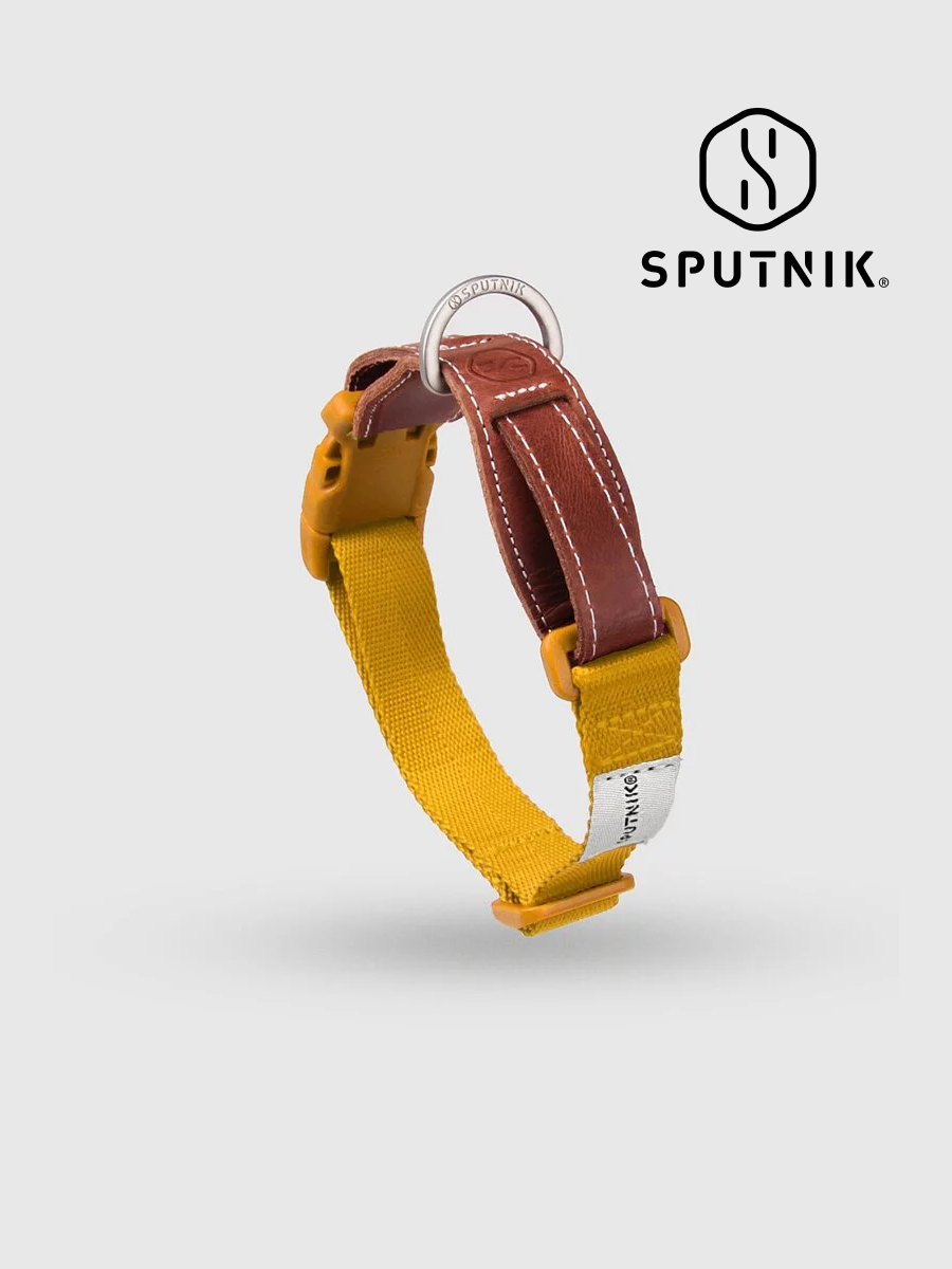 【SPUTNIK】EXPLORE 寵物項圈｜黃