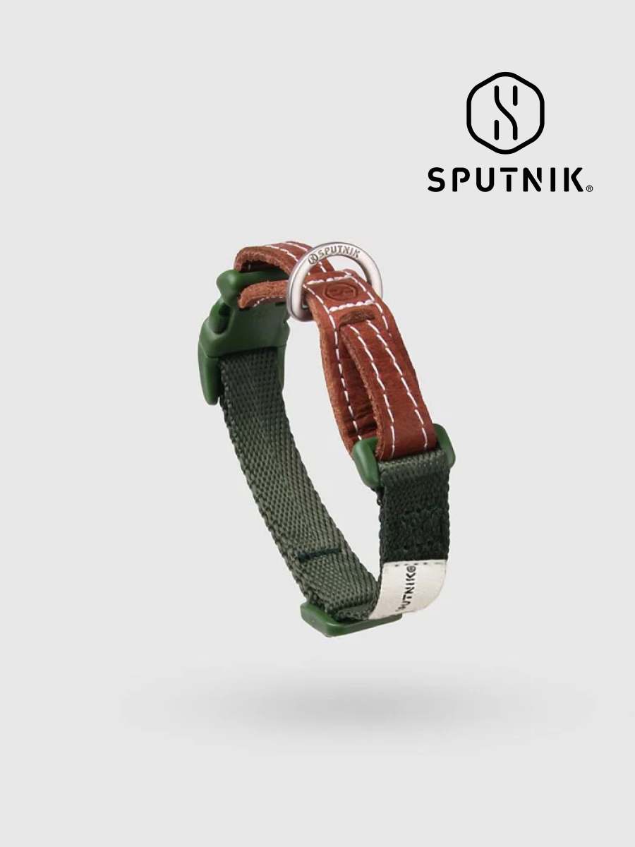【SPUTNIK】EXPLORE 寵物項圈｜綠