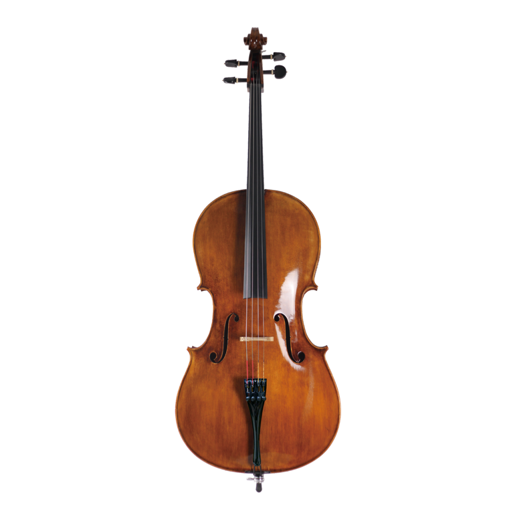 FIDO TAYLOR 高級歐料琴[大提琴]