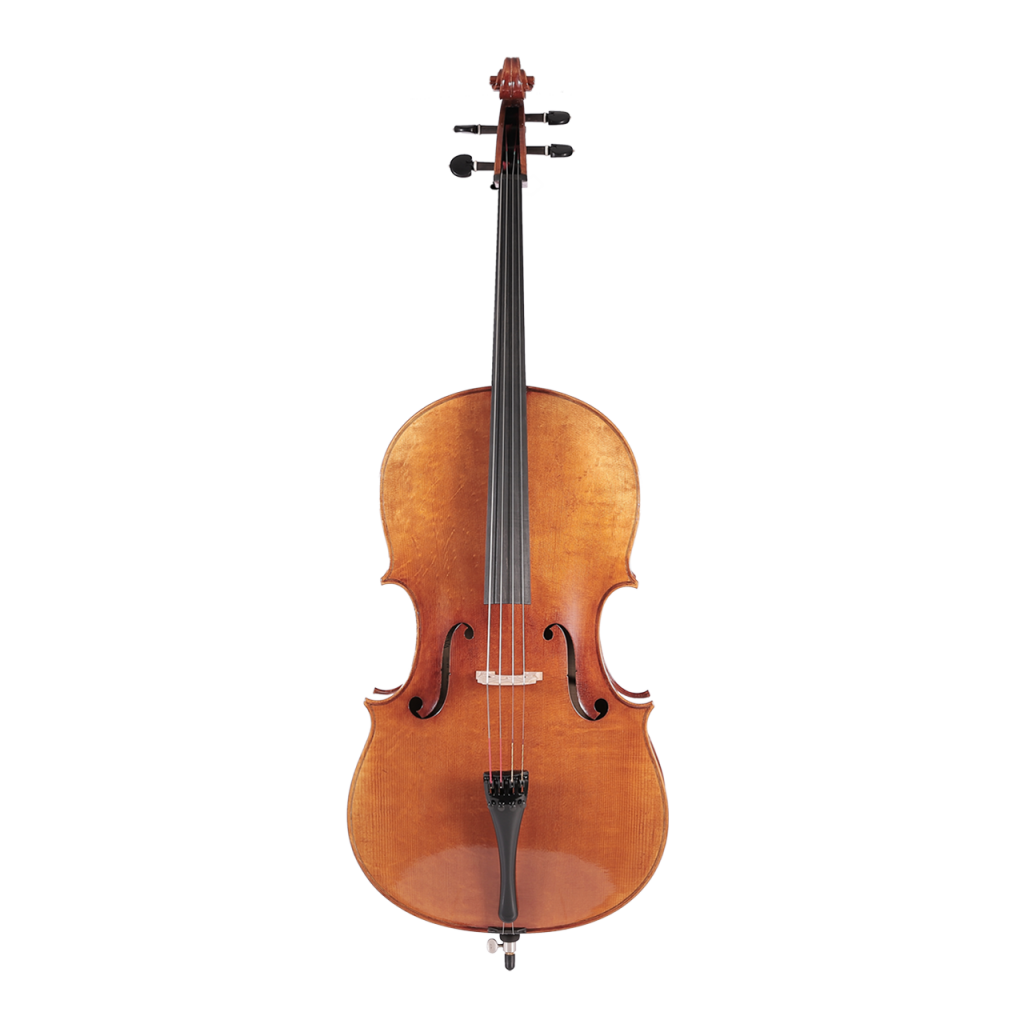 ELLY TAYLOR 高級歐料琴 [大提琴]