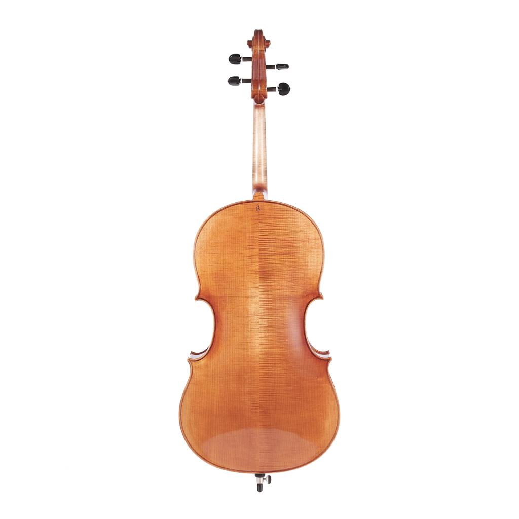 ELLY TAYLOR 高級歐料琴 [大提琴]