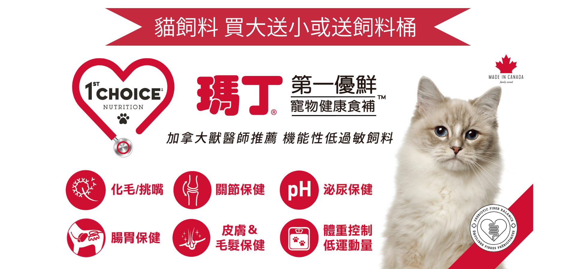 瑪丁貓飼料 買大送小 送飼料桶