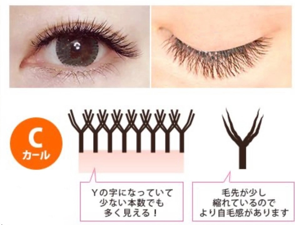 Y 睫毛（單根類別）