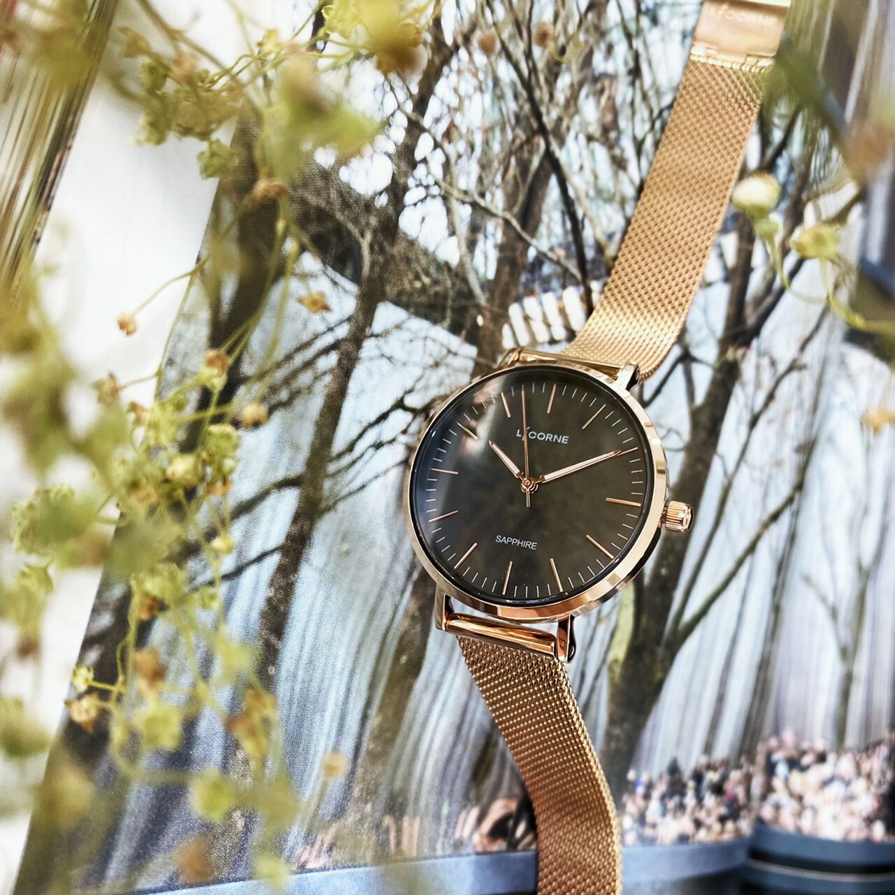 【Entree 力抗】極簡主義清新風手錶 LT146LRBI (黑)  32mm 現代鐘錶