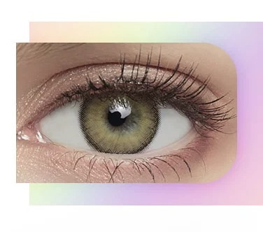 [半年拋][散光] LENSME Torica 6 Month Holoris Europefit 彩妝隱形眼鏡｜1片 (Brown)