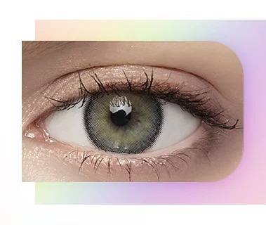 [半年拋][散光] LENSME Torica 6 Month Holoris Europefit 彩妝隱形眼鏡｜1片 (Gray)