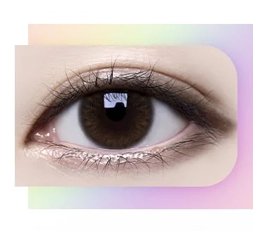 [半年拋][散光] Lensme Torica 6 Month Lace 彩妝隱形眼鏡｜1片 (Brown)