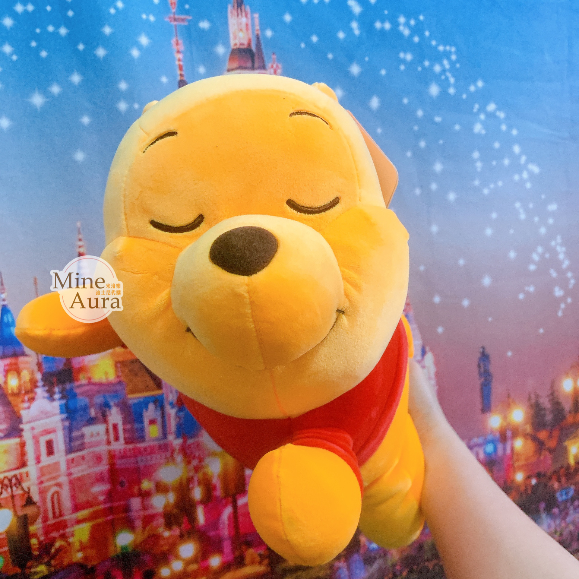 (現貨) 夢想系列 小熊維尼 Winnie the Pooh 趴趴睡顏 睡姿 趴姿 娃娃 玩偶  -香港迪士尼樂園