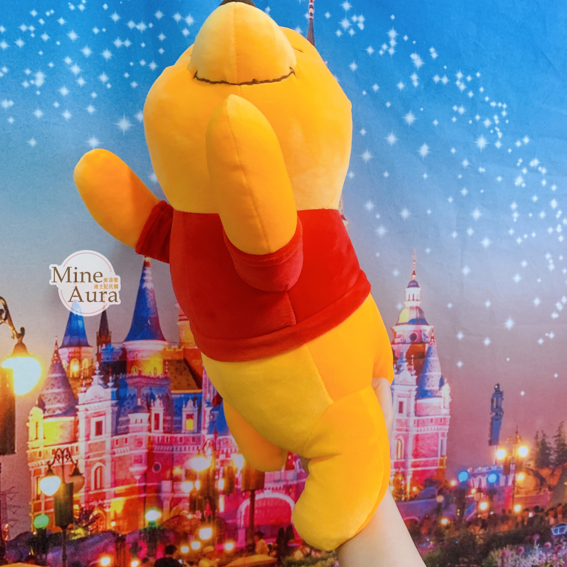 (現貨) 夢想系列 小熊維尼 Winnie the Pooh 趴趴睡顏 睡姿 趴姿 娃娃 玩偶  -香港迪士尼樂園