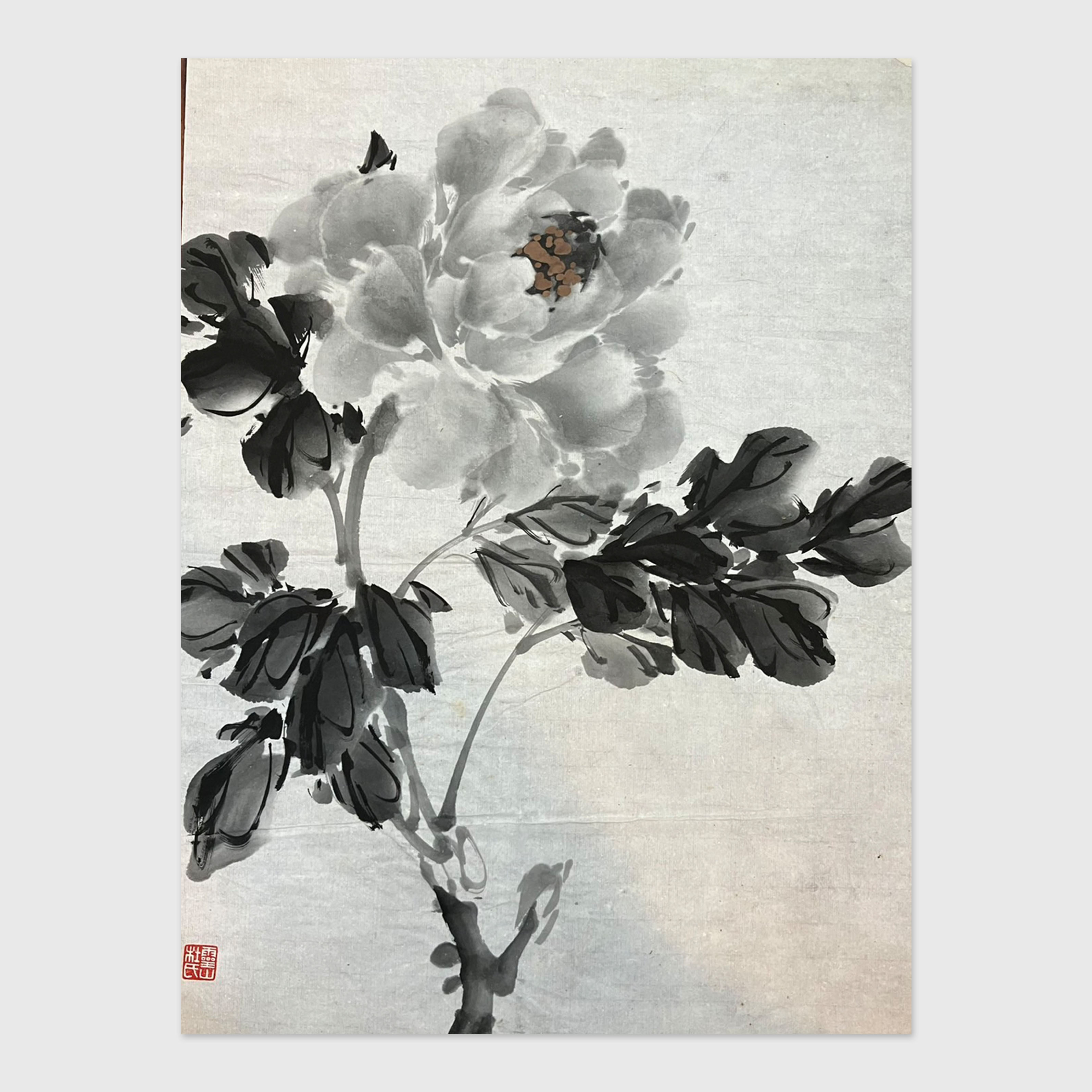 水墨画 鬆石牡丹圖 清代 IMOD682白牡丹水墨