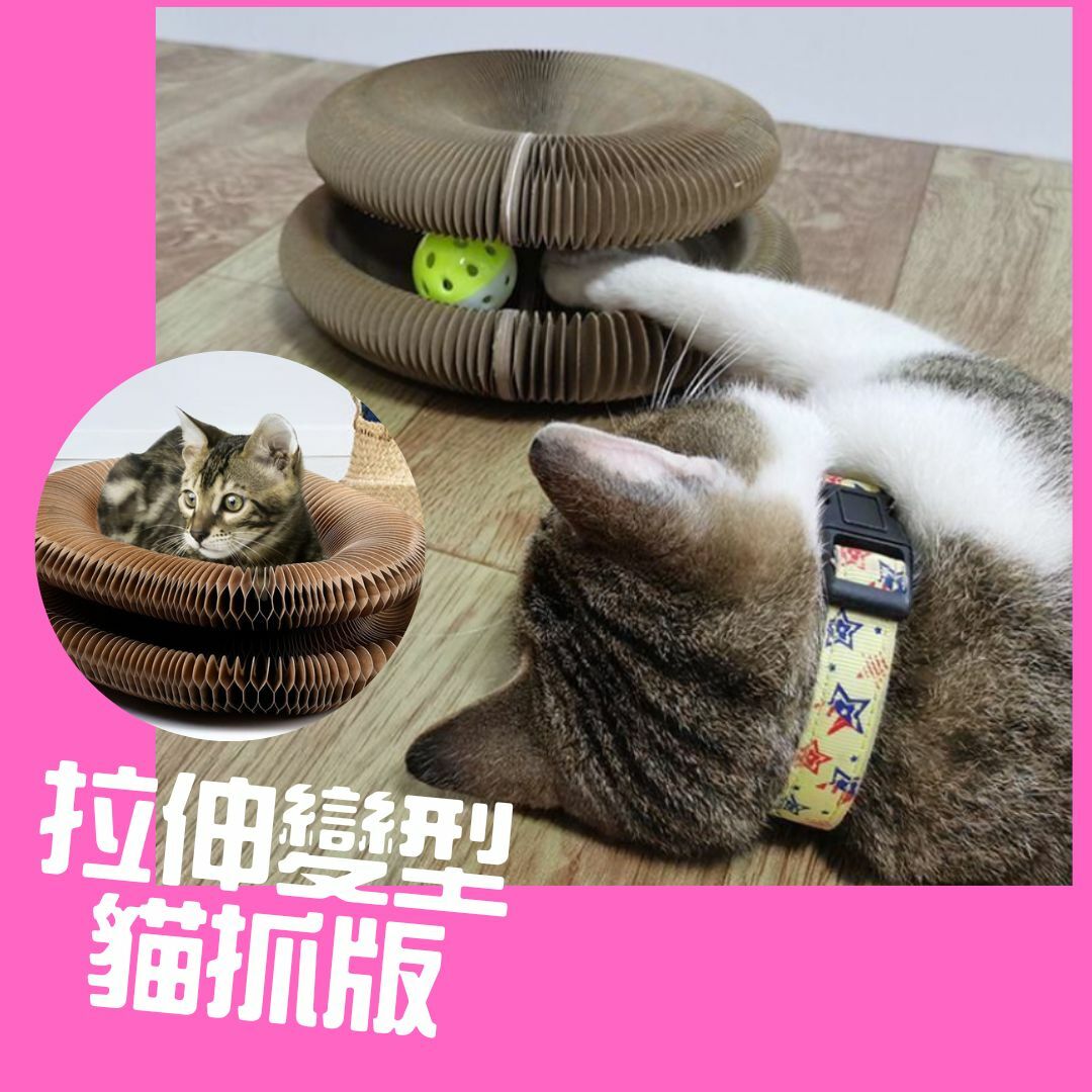 貓貓解壓益智玩具 拉伸變型貓抓版