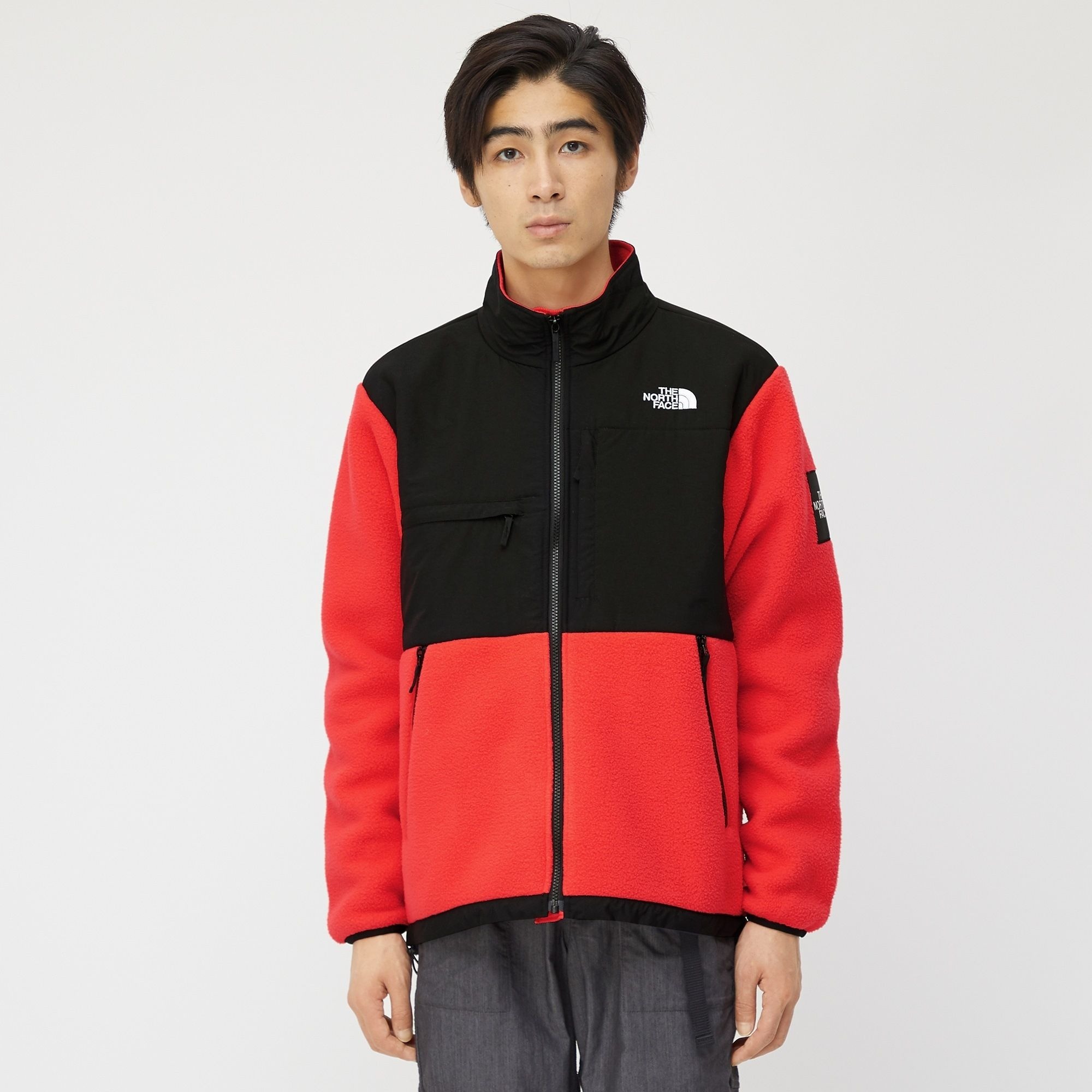 NA72051 日本THE NORTH FACE DENALI JACKET 拚色立領外套