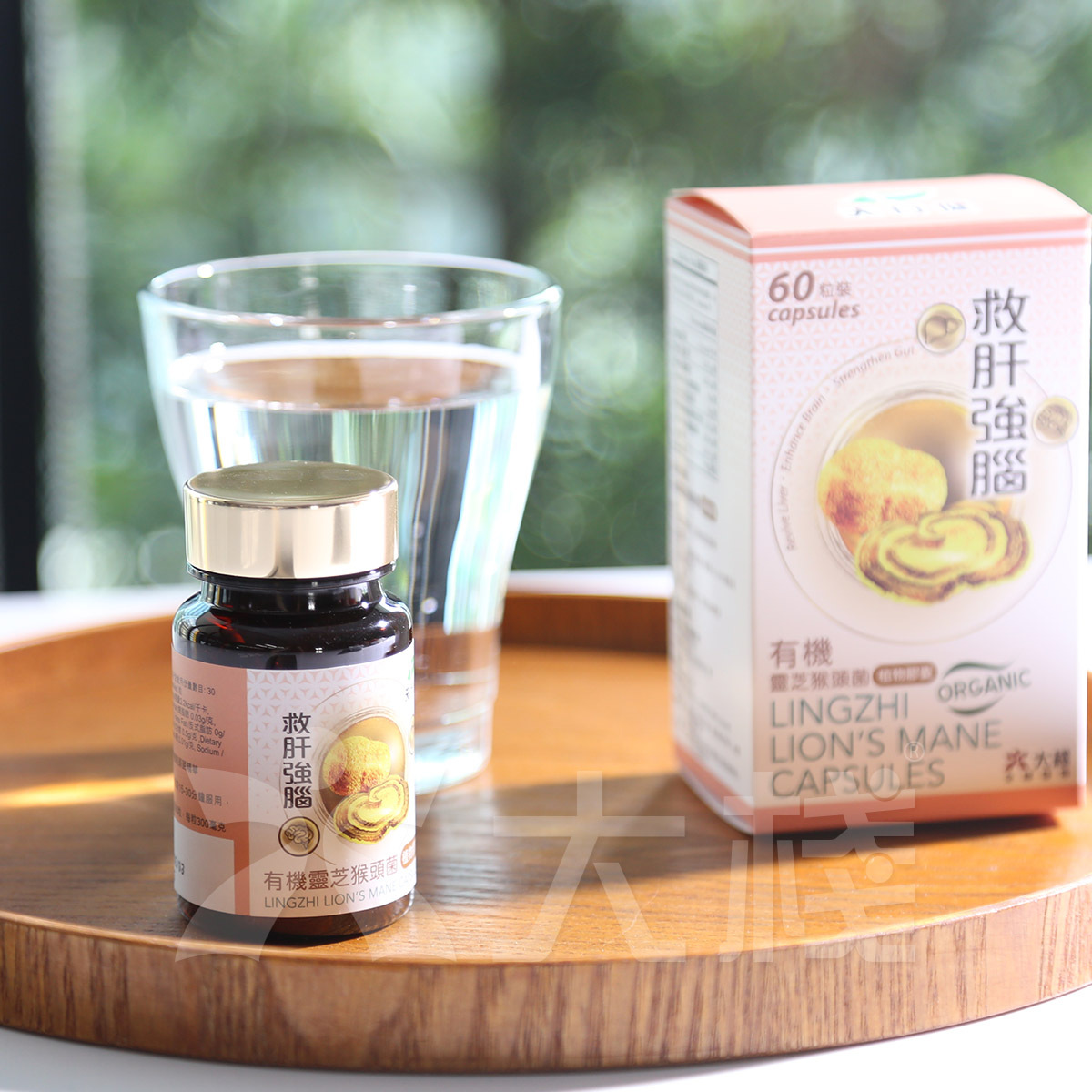 [Free Int. Shipping ] Tinhankin Lingzhi Lions Mane Capsules (60 capsules)