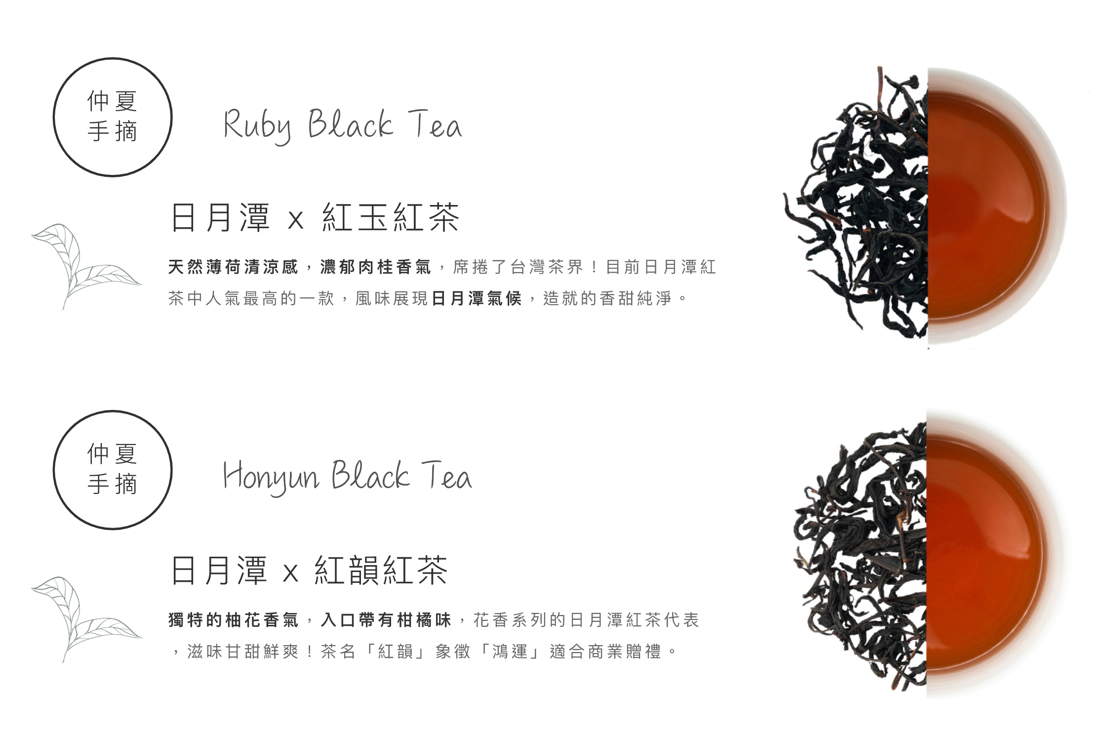 仲夏手摘,日月潭,紅玉紅茶,甜甜肉桂香氣,天然薄荷的涼感,人氣最高的一款紅茶,適合做鮮奶茶,仲夏手摘,日月潭,紅韻紅茶,獨特的柚花香氣,入口帶有柑橘味,花香系紅茶代表,滋味甘甜鮮爽