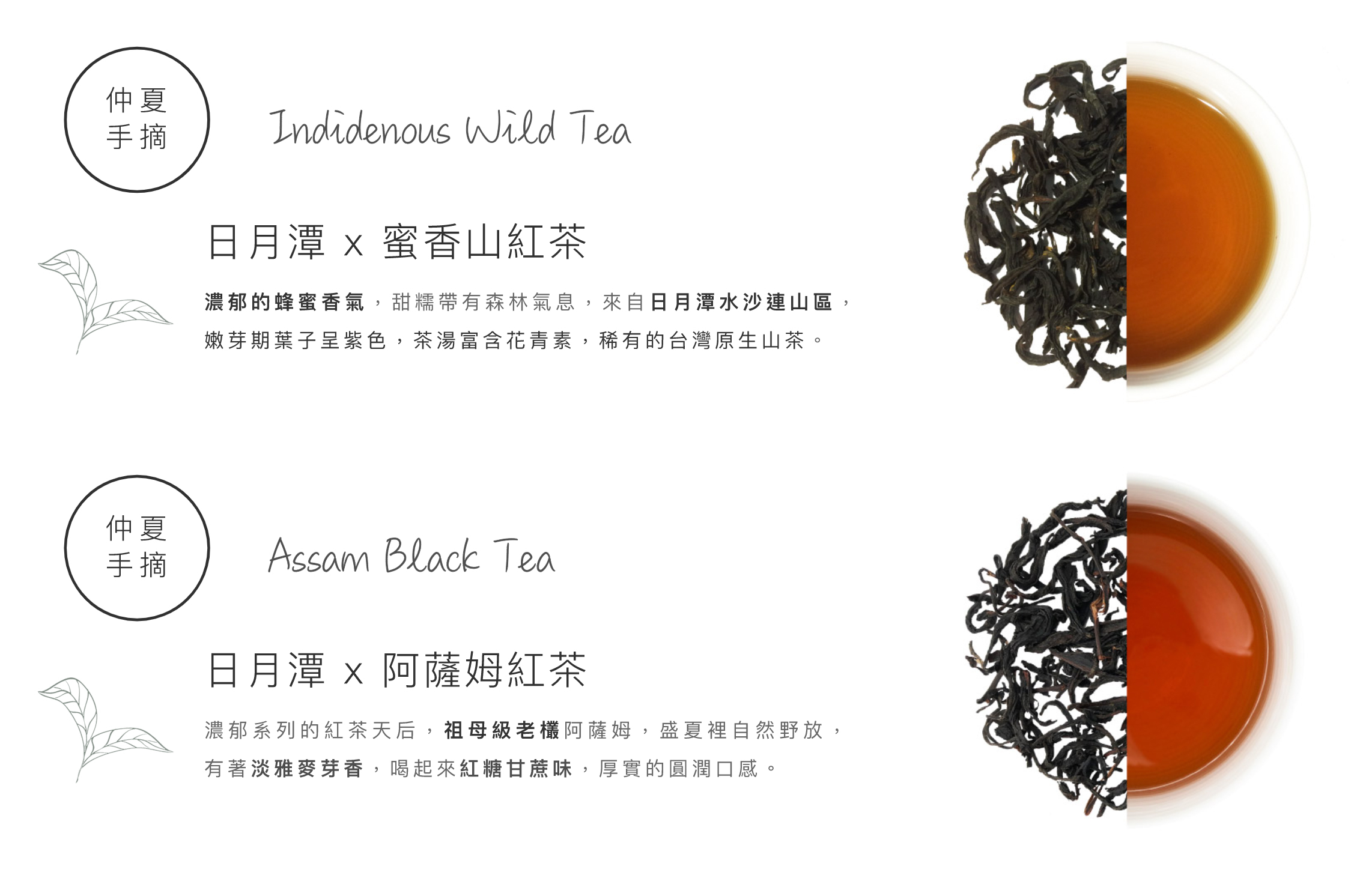 仲夏手摘,日月潭,蜜香山紅茶,濃郁甜糯蜂蜜香,稀有原生山茶樹,嫩芽呈紫色,富含花青素,來自水沙連茶區,仲夏手摘,日月潭,阿薩姆紅茶,祖母級老欉茶樹,甜甜的麥芽香,帶點甘蔗味,茶質重味道飽滿,最適合做鮮奶茶