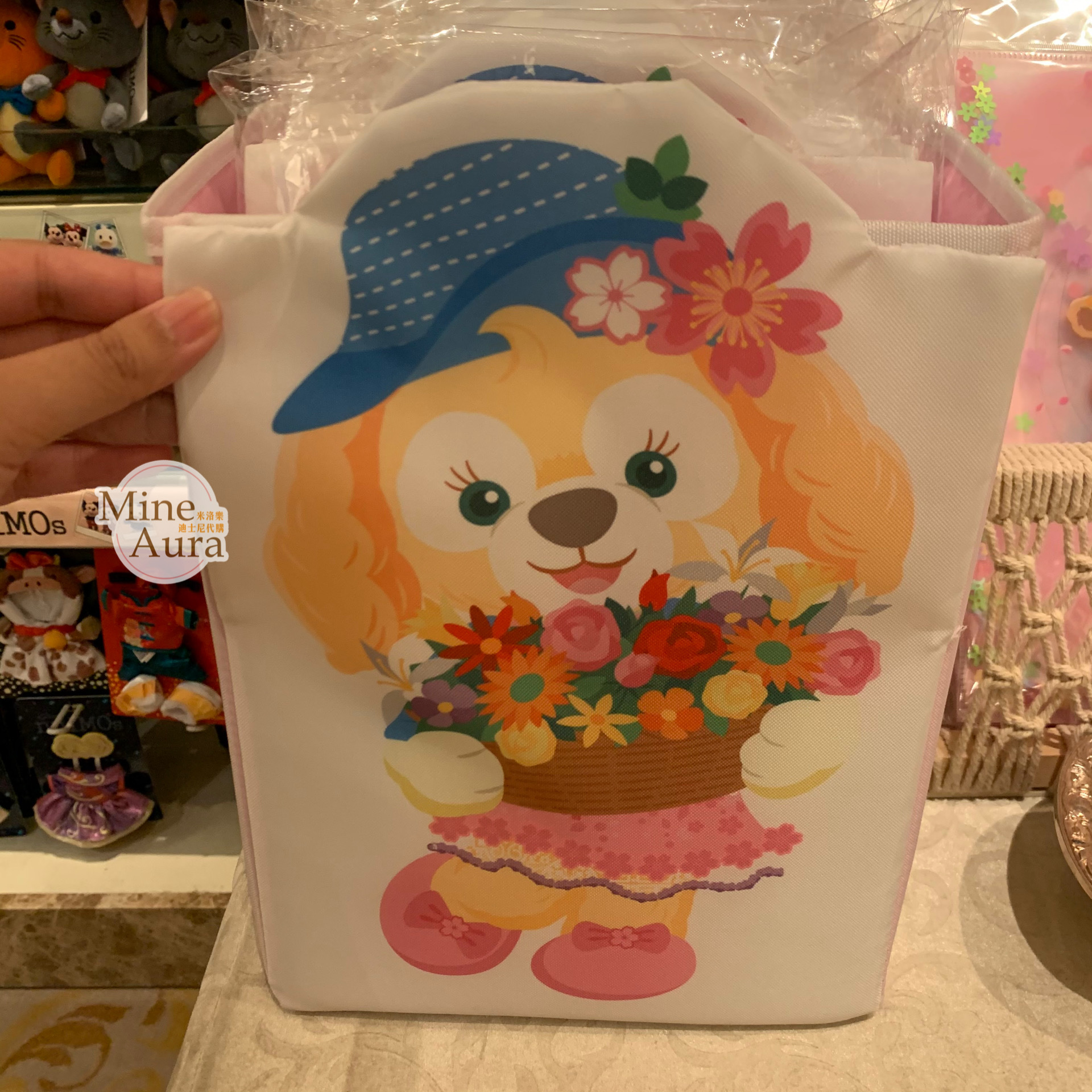 (特價現貨) 達菲 Duffy 折疊收納箱 儲物箱 D&F達菲系列 -香港迪士尼樂園