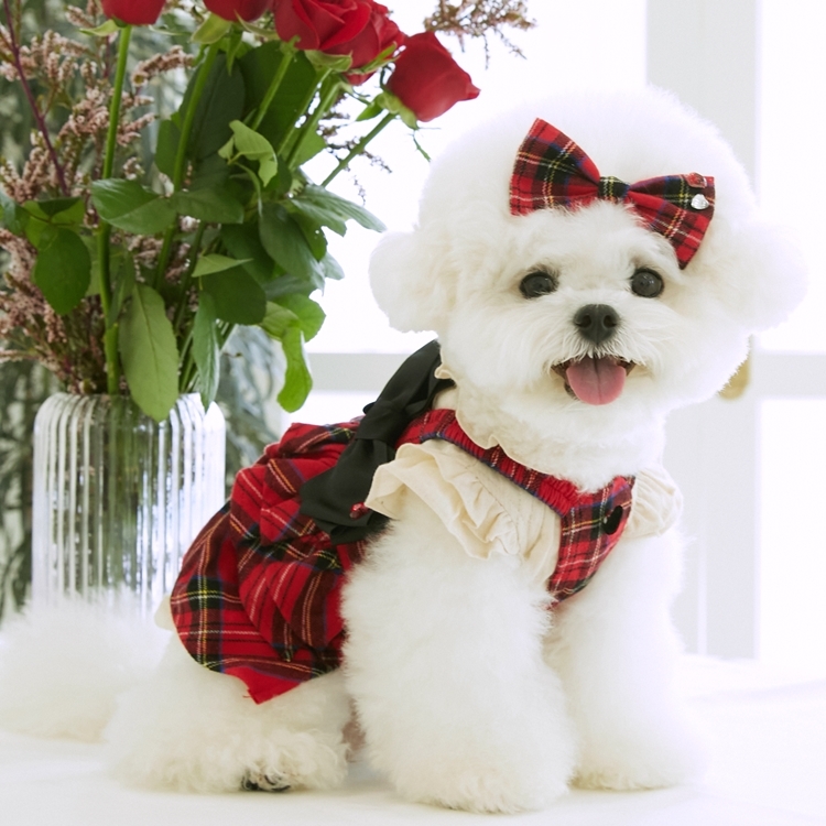 iLoiLo 史考莉蘇格蘭格紋洋裝