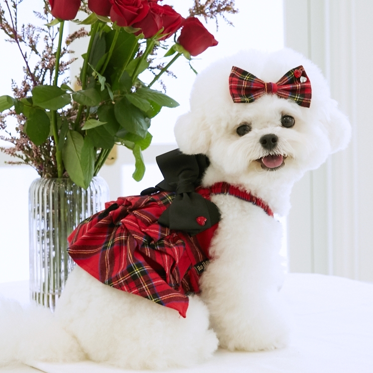 iLoiLo 史考莉蘇格蘭格紋洋裝