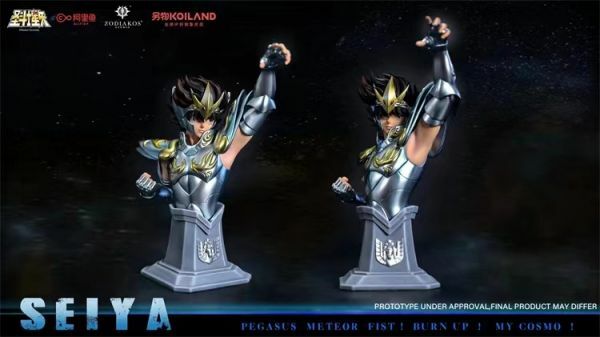pegasus ryusei ken