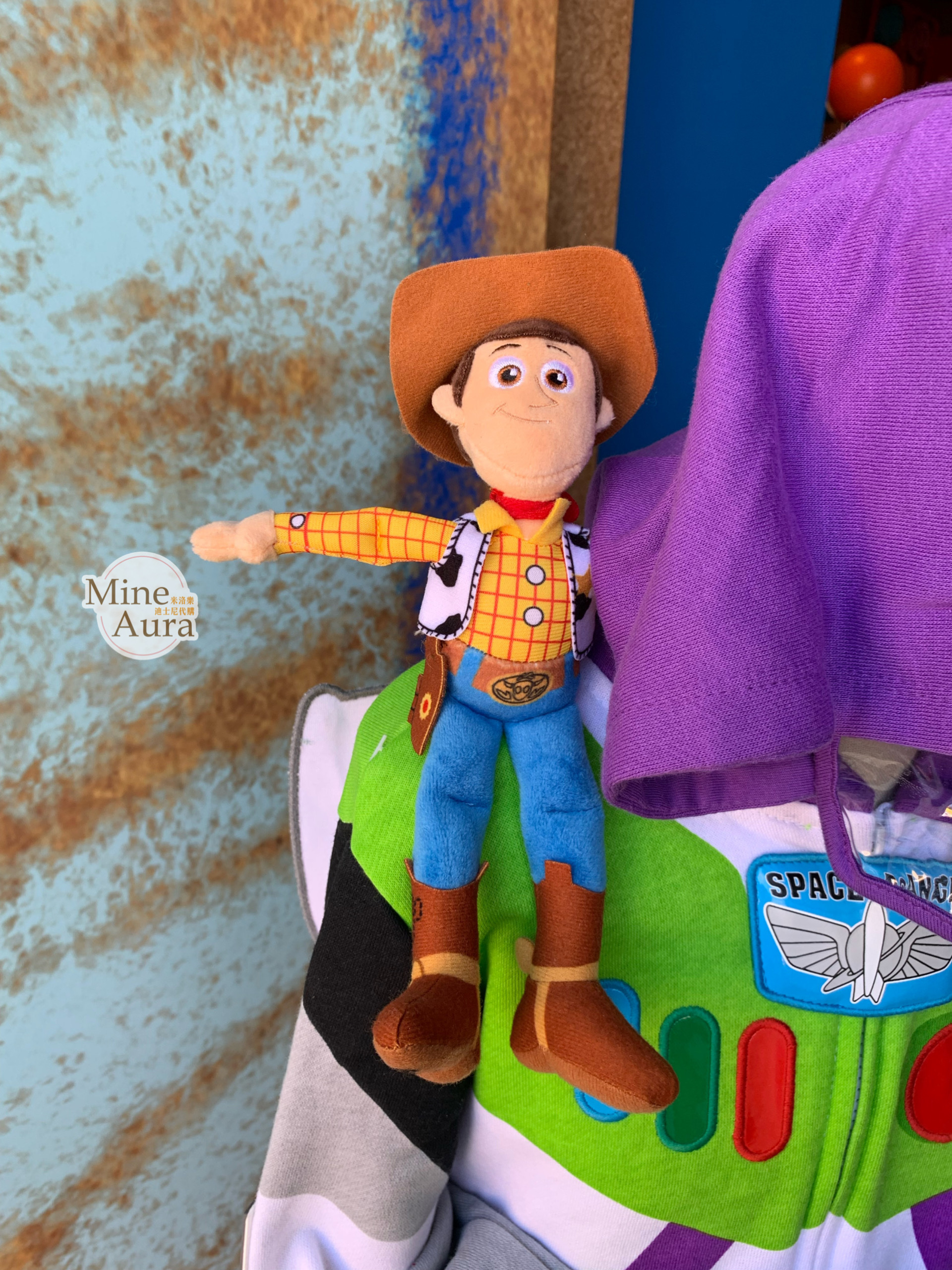 胡迪 Woody 磁鐵 坐肩 絨毛 娃娃 公仔 玩具總動員 Toy Story -香港迪士尼樂園