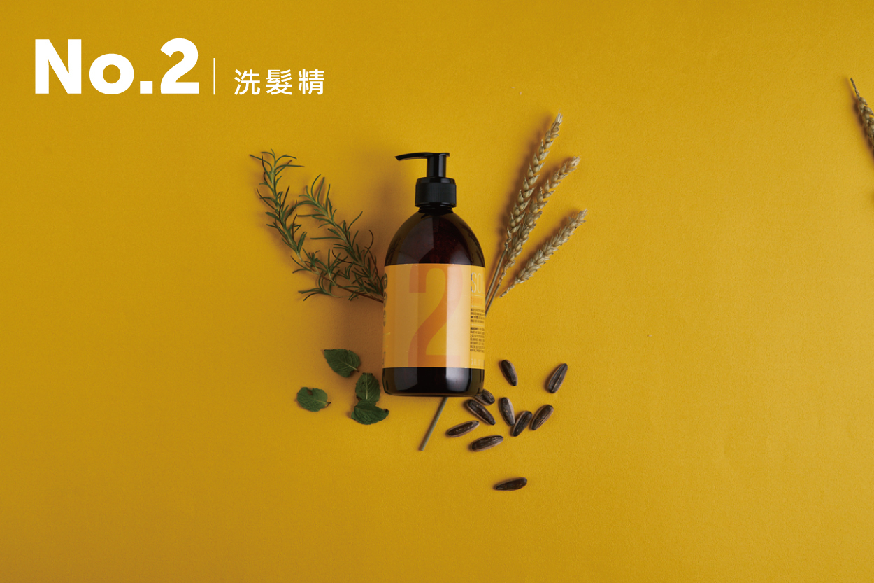 No.2 洗髮精 (乾性) 500ml