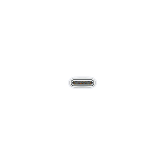 Apple USB-C 充電線 (1 米)