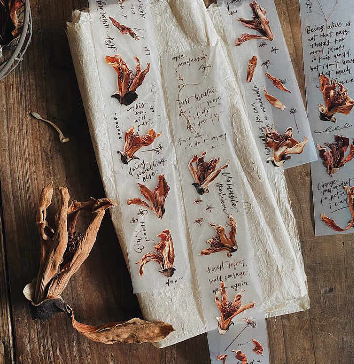 木棉 霧面 PET膠帶｜茄子先生