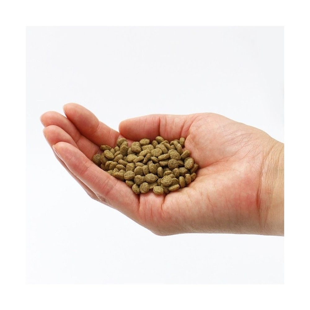 【Pet Paradise】 Advanced Comprehensive Nutrition Chicken Joint Healthy Dog Food