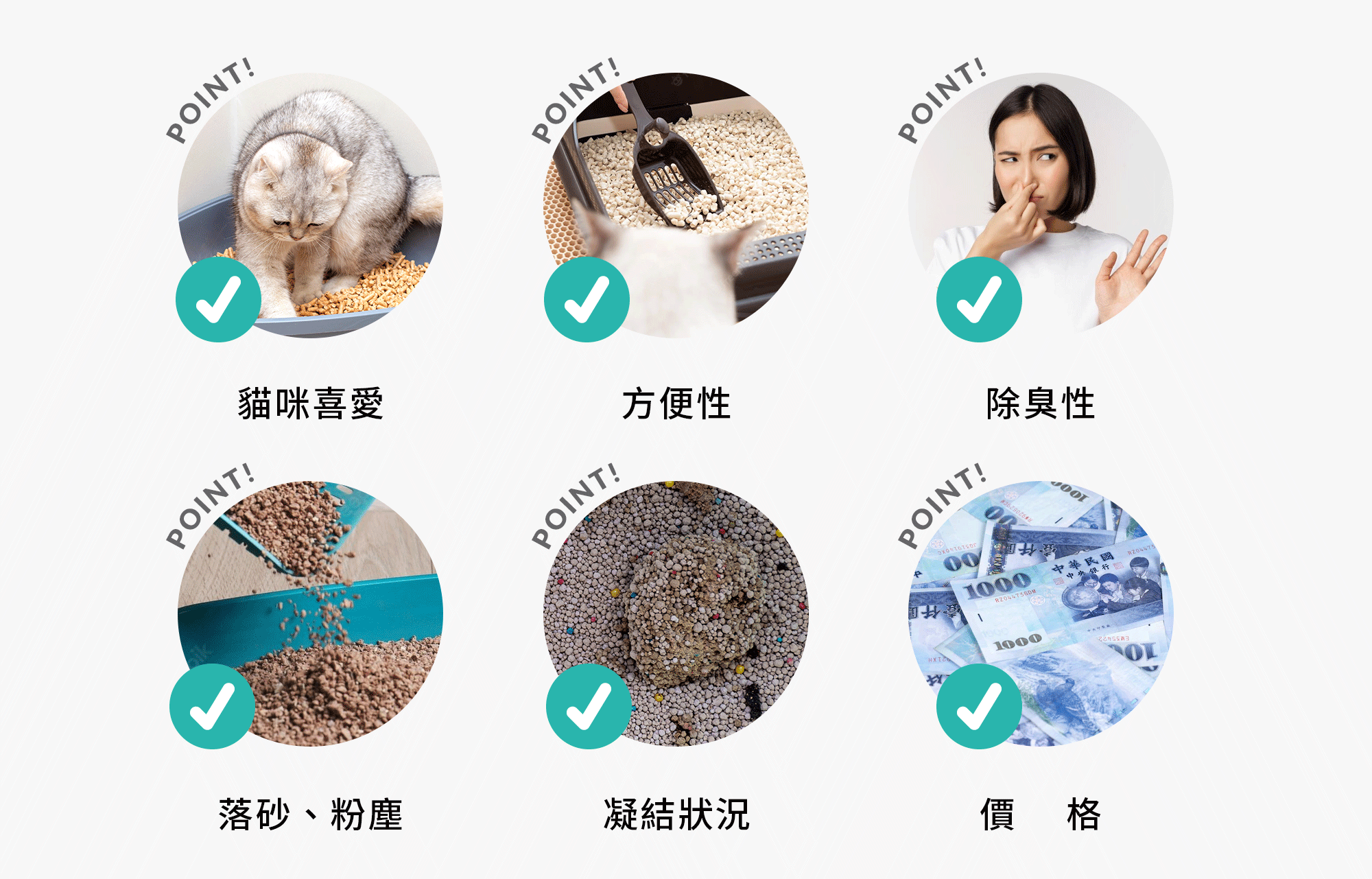 貓砂選擇六大面向point
