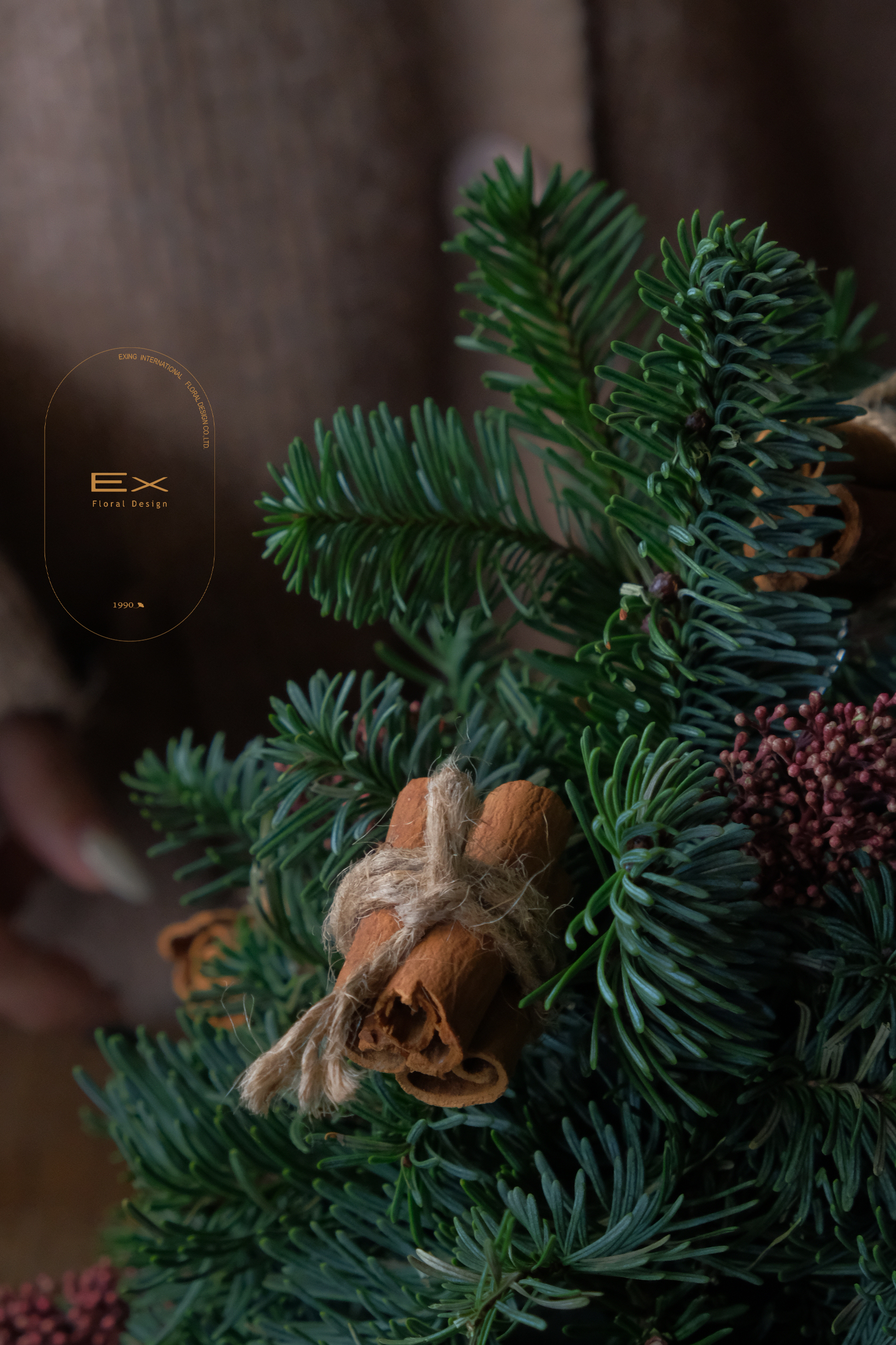 北美諾貝松 · 木香松語 Noble Fir｜桌上型 白樺木座