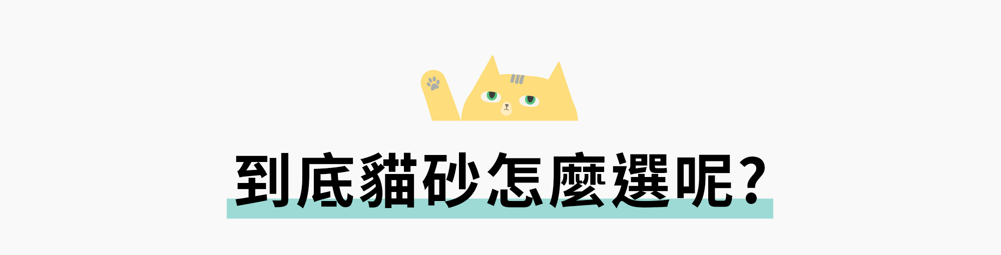 貓砂到底怎麼選